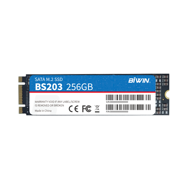 M.2 SATA SSD